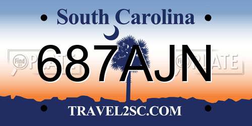 687AJN South Carolina License Plate