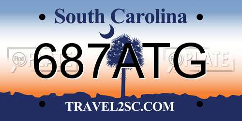 687ATG South Carolina License Plate