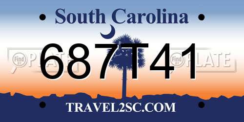 687T41 South Carolina License Plate