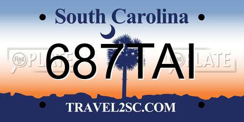 687TAI South Carolina License Plate