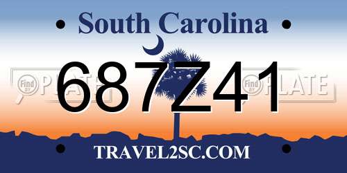 687Z41 South Carolina License Plate