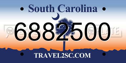 6882500 South Carolina License Plate
