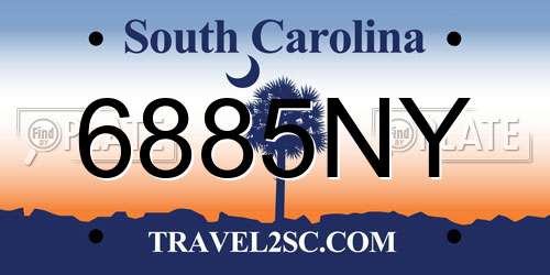6885NY South Carolina License Plate