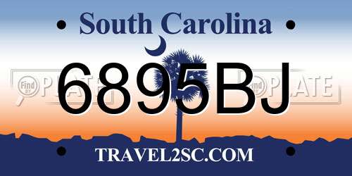 6895BJ South Carolina License Plate