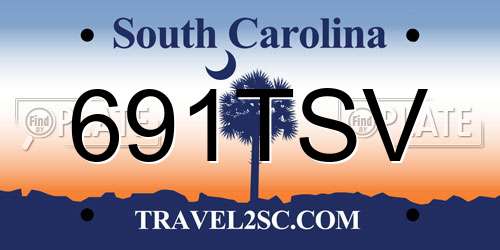 691TSV South Carolina License Plate