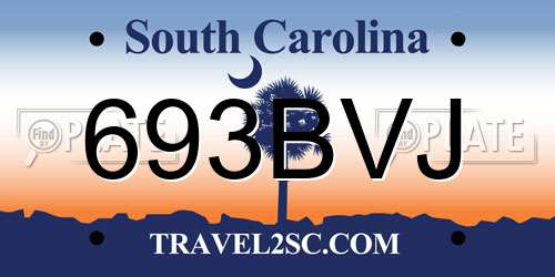 693BVJ South Carolina License Plate