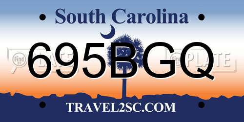 695BGQ South Carolina License Plate
