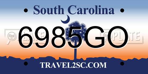 6985GO South Carolina License Plate