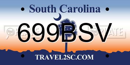 699BSV South Carolina License Plate