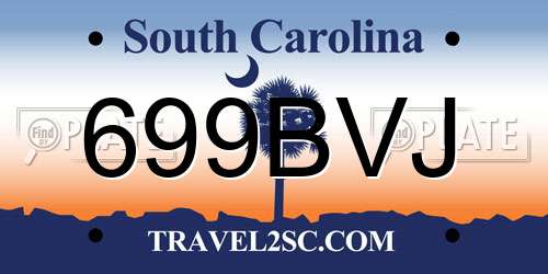 699BVJ South Carolina License Plate