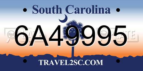 6A49995 South Carolina License Plate