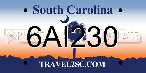 6AI230 South Carolina License Plate