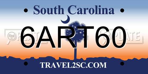 6ART60 South Carolina License Plate