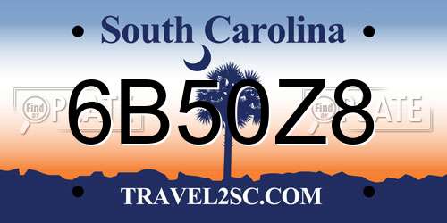 6B50Z8 South Carolina License Plate