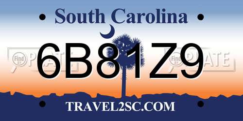 6B81Z9 South Carolina License Plate