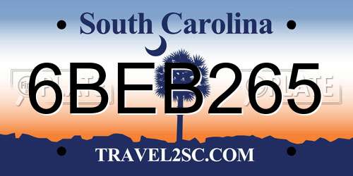 6BEB265 South Carolina License Plate