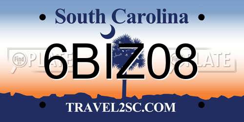 6BIZ08 South Carolina License Plate
