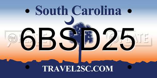 6BSD25 South Carolina License Plate