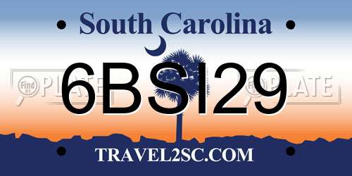 6BSI29 South Carolina License Plate
