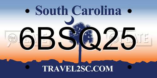 6BSQ25 South Carolina License Plate