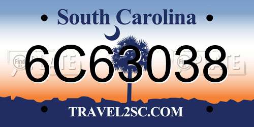 6C63038 South Carolina License Plate