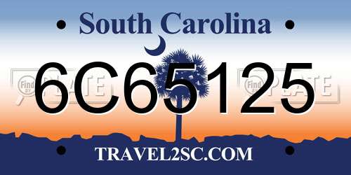 6C65125 South Carolina License Plate