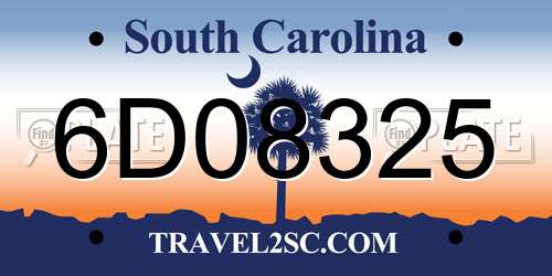 6D08325 South Carolina License Plate