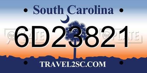 6D23821 South Carolina License Plate