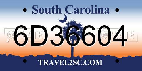 6D36604 South Carolina License Plate