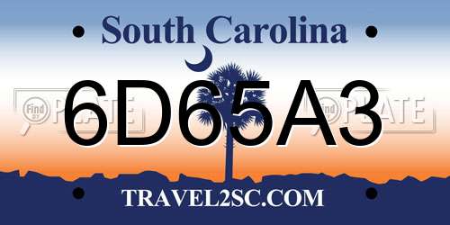 6D65A3 South Carolina License Plate