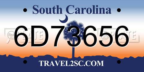 6D73656 South Carolina License Plate