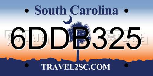 6DDB325 South Carolina License Plate