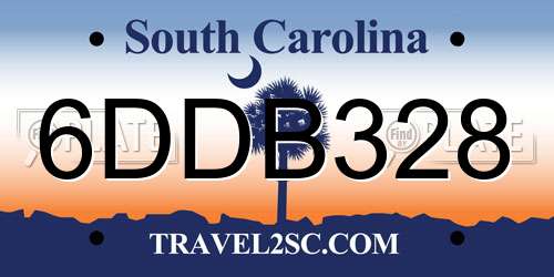 6DDB328 South Carolina License Plate