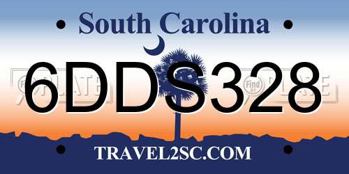 6DDS328 South Carolina License Plate