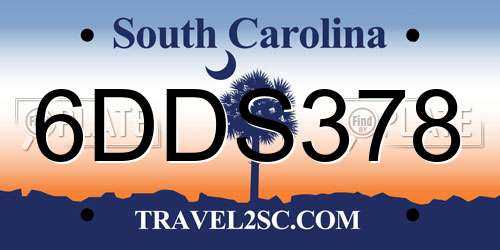 6DDS378 South Carolina License Plate