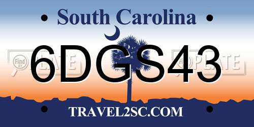 6DGS43 South Carolina License Plate