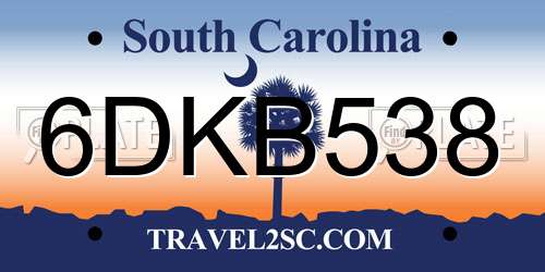 6DKB538 South Carolina License Plate