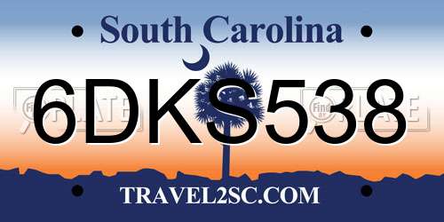 6DKS538 South Carolina License Plate
