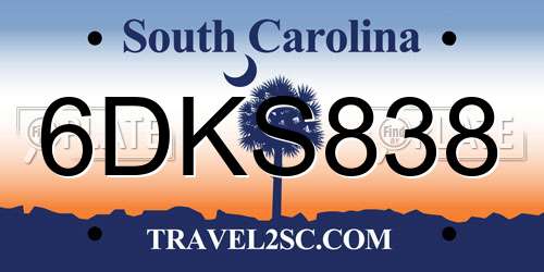 6DKS838 South Carolina License Plate