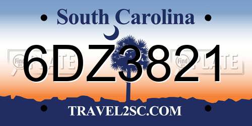6DZ3821 South Carolina License Plate