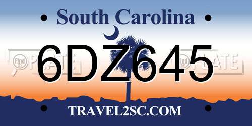 6DZ645 South Carolina License Plate