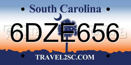 6DZE656 South Carolina License Plate