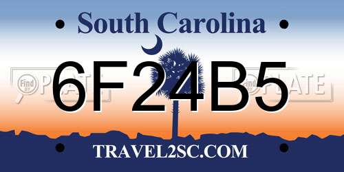 6F24B5 South Carolina License Plate