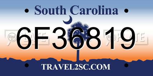 6F36819 South Carolina License Plate