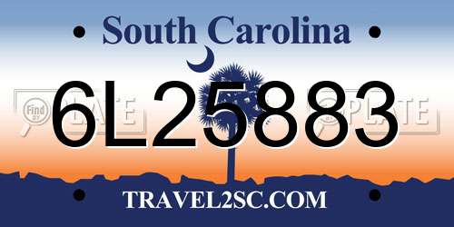 6L25883 South Carolina License Plate