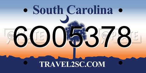 6O05378 South Carolina License Plate