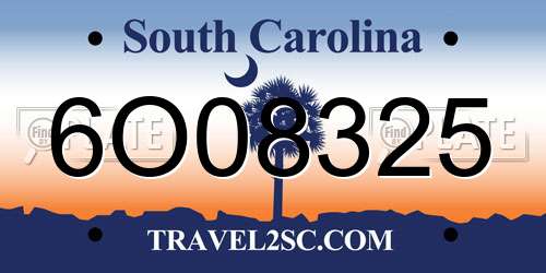 6O08325 South Carolina License Plate