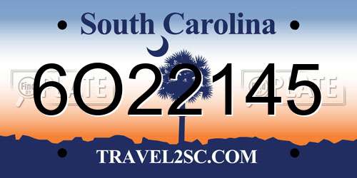 6O22145 South Carolina License Plate