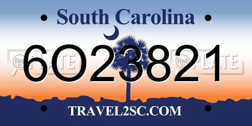 6O23821 South Carolina License Plate