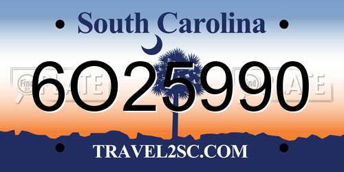 6O25990 South Carolina License Plate